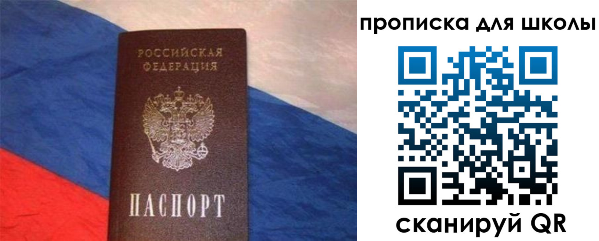 прописка поиск в Болотном